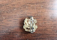 Tudor Rose Badge 2
